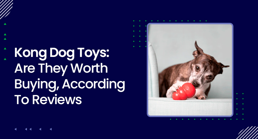 kong toy for dogs