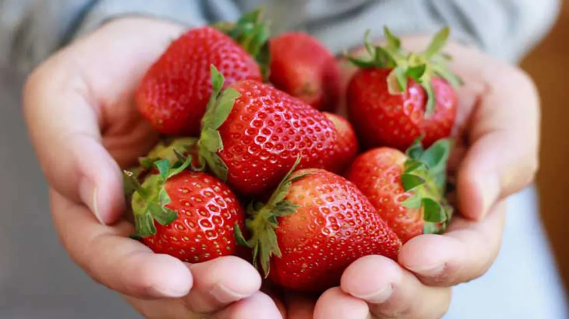 Strawberries are beneficial to your health.