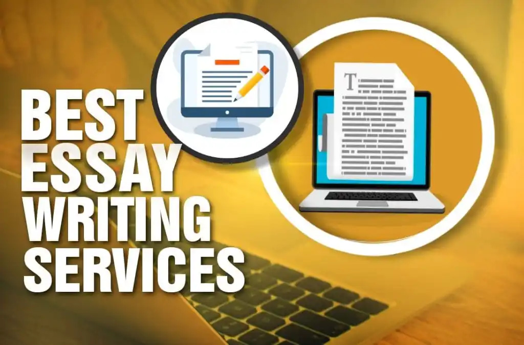 essay writing service